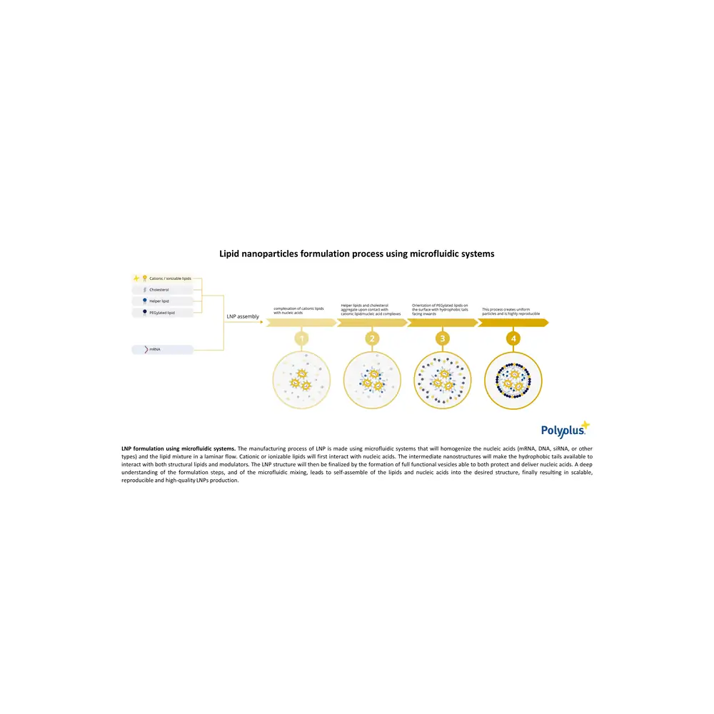 PolyPlus-transfection 101000172 LipidBrick