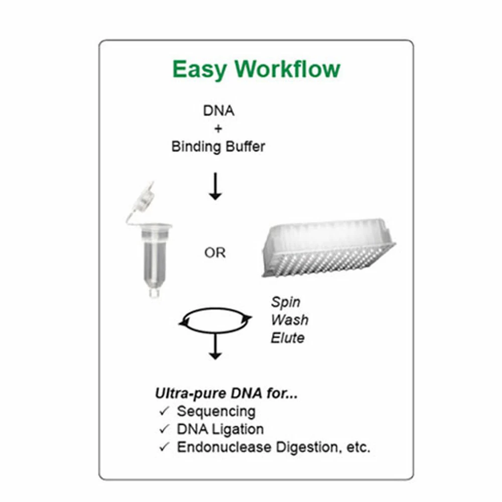 Zymo Research D4004 DNA Clean & Concentrator-5, Uncapped Columns, PCR Purification Kit (5