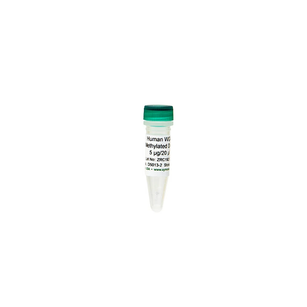 Zymo Research D5013-2 Human WGA Methylated DNA, Zymo Research, (5