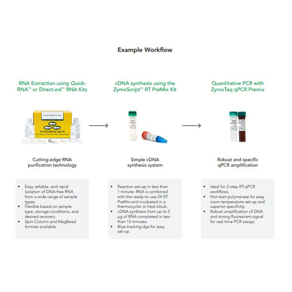 Zymo Research R3012 ZymoScript RT PreMix Kit, cDNA synthesis kit, 100 Reactions/Unit secondary image