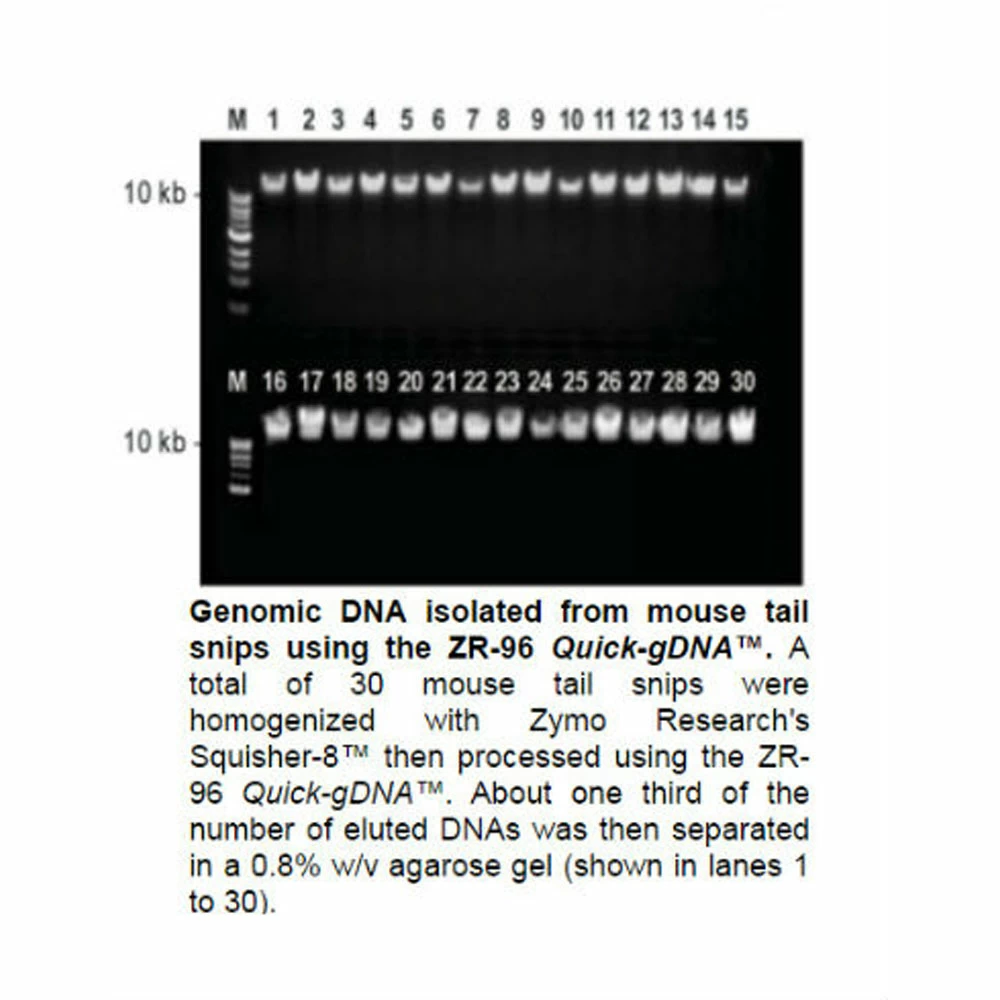 Zymo Research D3011 Quick-DNA 96 Kit, Zymo Research Kit, 4 x 96 Preps/Unit quaternary image