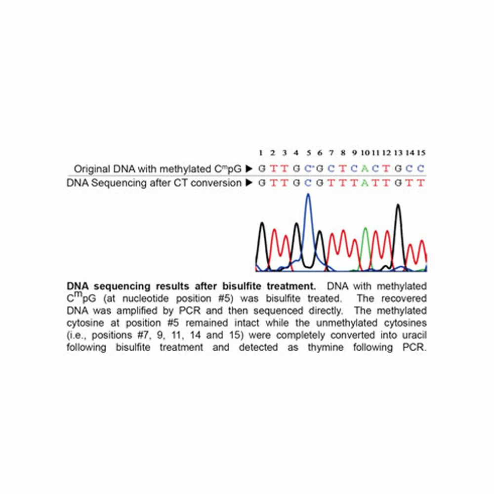 Zymo Research D5001 EZ DNA Methylation Kit, Zymo Research Kit, 50 Rxns/Unit secondary image