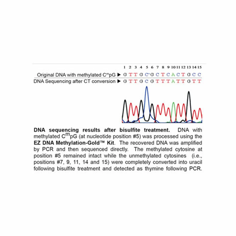 Zymo Research D5006 EZ DNA Methylation-Gold Kit, Zymo Research, 200 Rxns/Unit secondary image