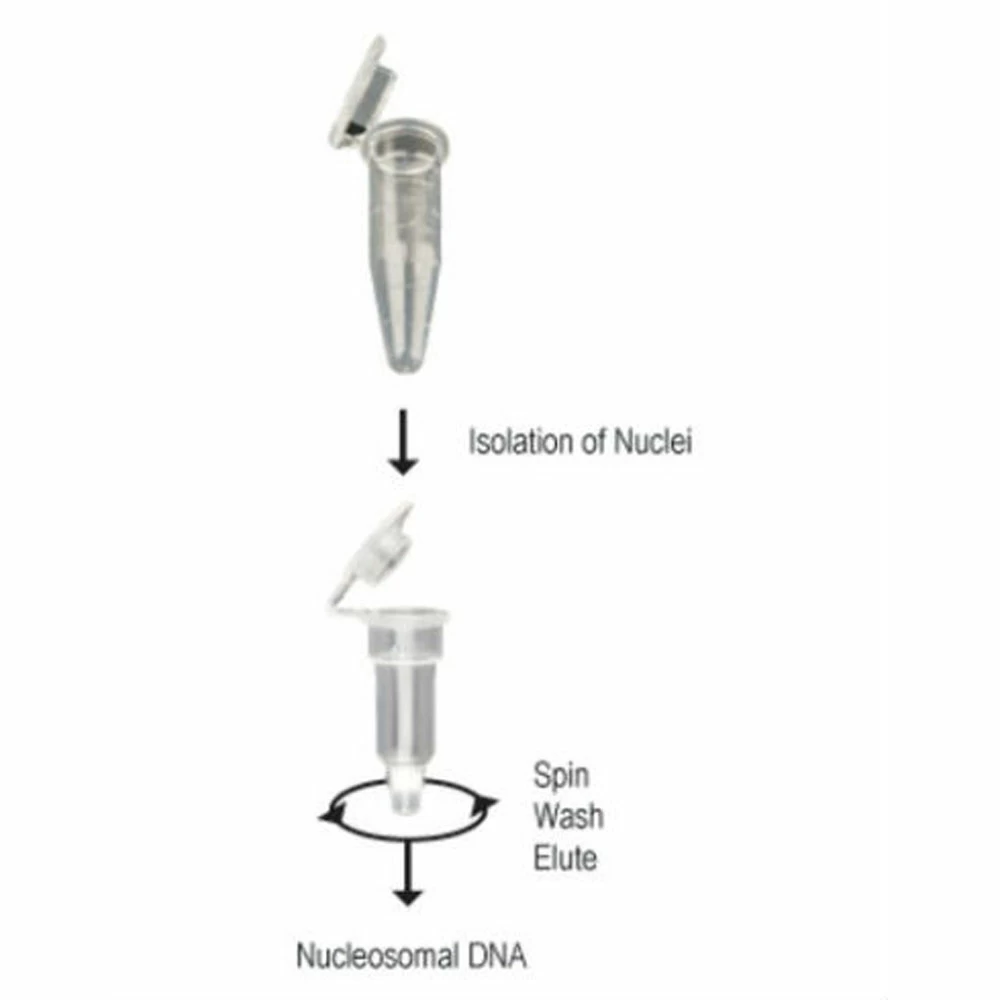 Zymo Research D5220 EZ Nucleosomal DNA Prep Kit, Zymo Research, 20 Preps/Unit secondary image