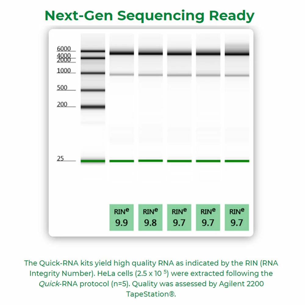 Zymo Research R1058 Quick-RNA MiniPrep Plus, Capped Columns, 200 Preps/Unit tertiary image