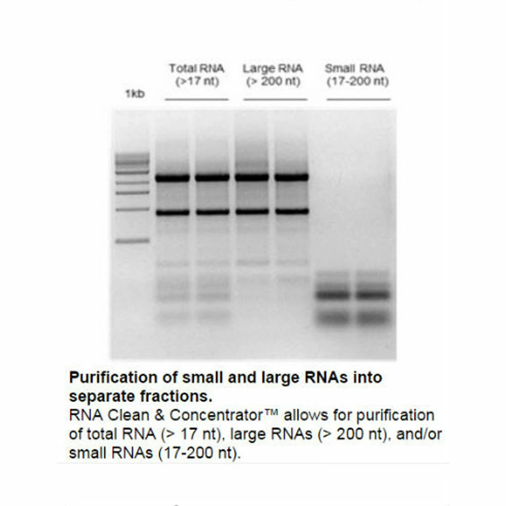 Zymo Research R1019 RNA Clean & Concentrator-100, Zymo Research, 25 Preps/Unit tertiary image