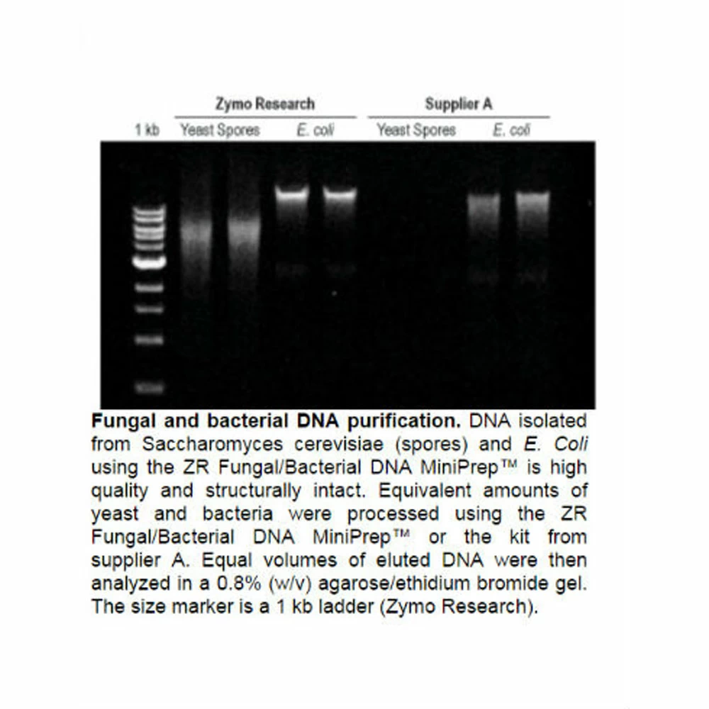 Zymo Research D6007 Quick-DNA Fungal/Bacterial Microprep Kit, Zymo Research, 50 Preps/Unit tertiary image