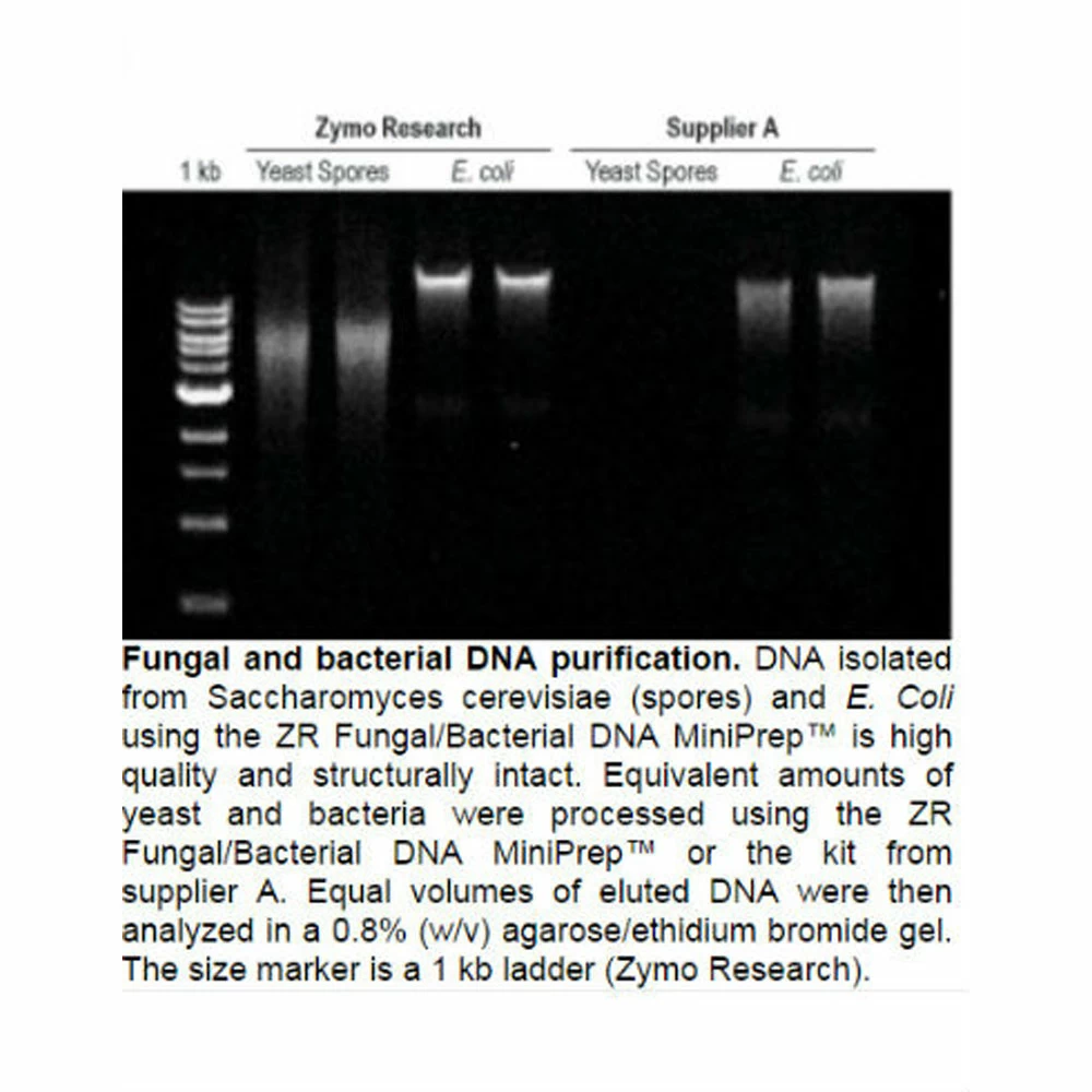 Zymo Research D6105 Quick-DNA Fungal/Bacterial Midiprep Kit, Zymo Research, 25 Preps/Unit quaternary image