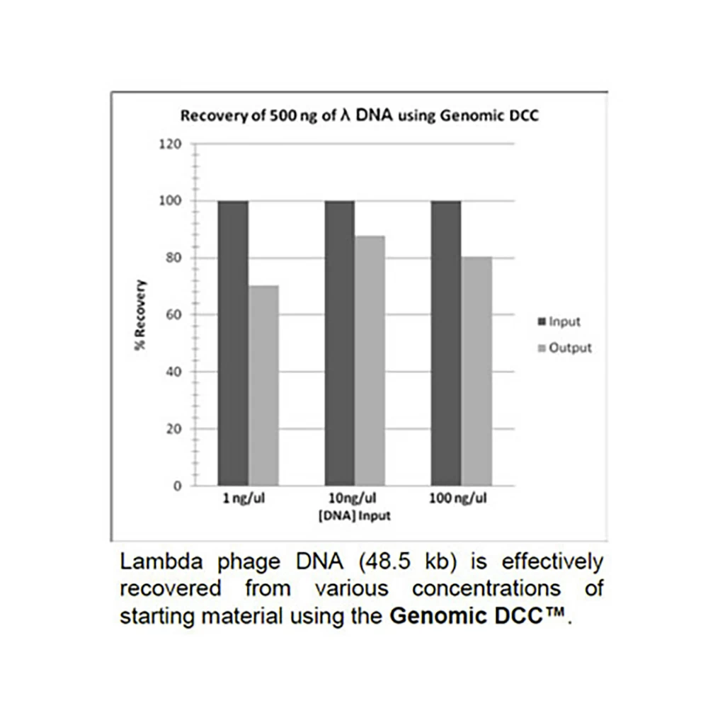 Zymo Research D4011 Genomic DNA Clean & Concentrator-10, Zymo Research Kit, 100 Preps/Unit tertiary image