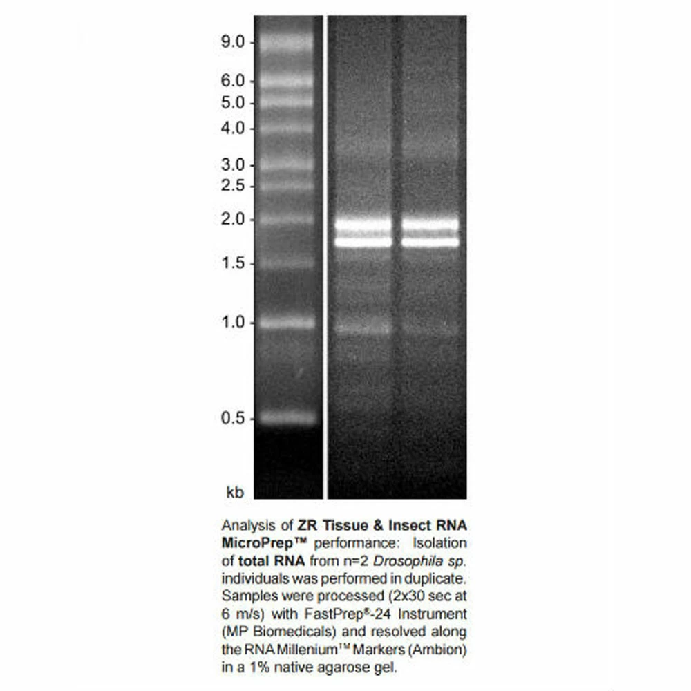 Zymo Research R2030 Quick-RNA Tissue/Insect Microprep Kit, Zymo Research, 50 Preps/Unit quaternary image