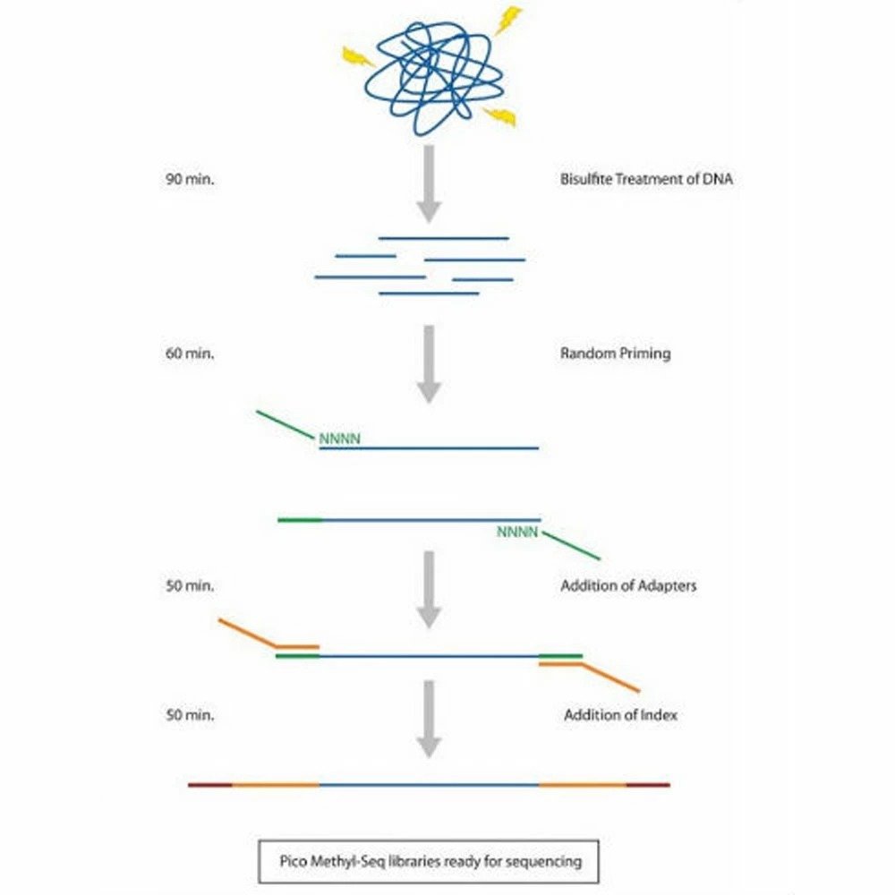 Zymo Research D5455 Pico Methyl-Seq