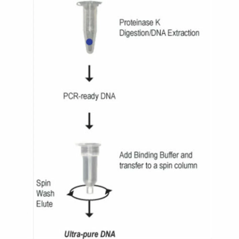 Zymo Research D3001 Pinpoint Slide DNA Isolation System, Zymo Research, 50 Preps/Unit tertiary image