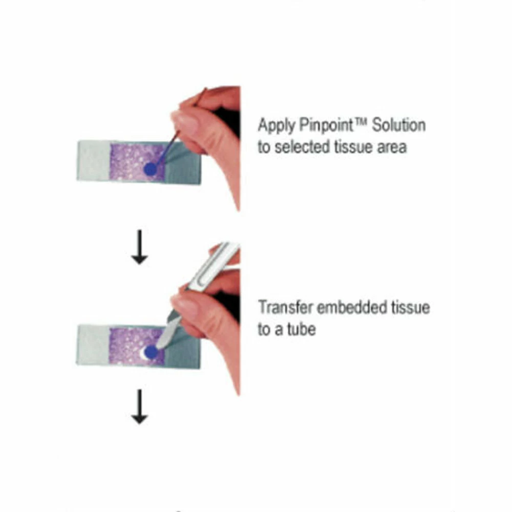 Zymo Research R1007 Pinpoint Slide RNA Isolation System II Kit, Zymo Research, 50 Preps/Unit secondary image