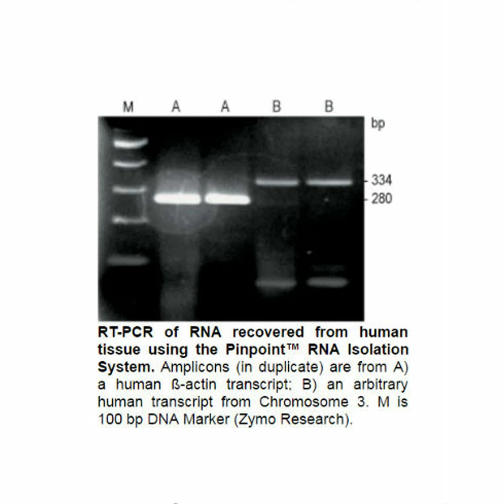 Zymo Research R1007 Pinpoint Slide RNA Isolation System II Kit, Zymo Research, 50 Preps/Unit quaternary image