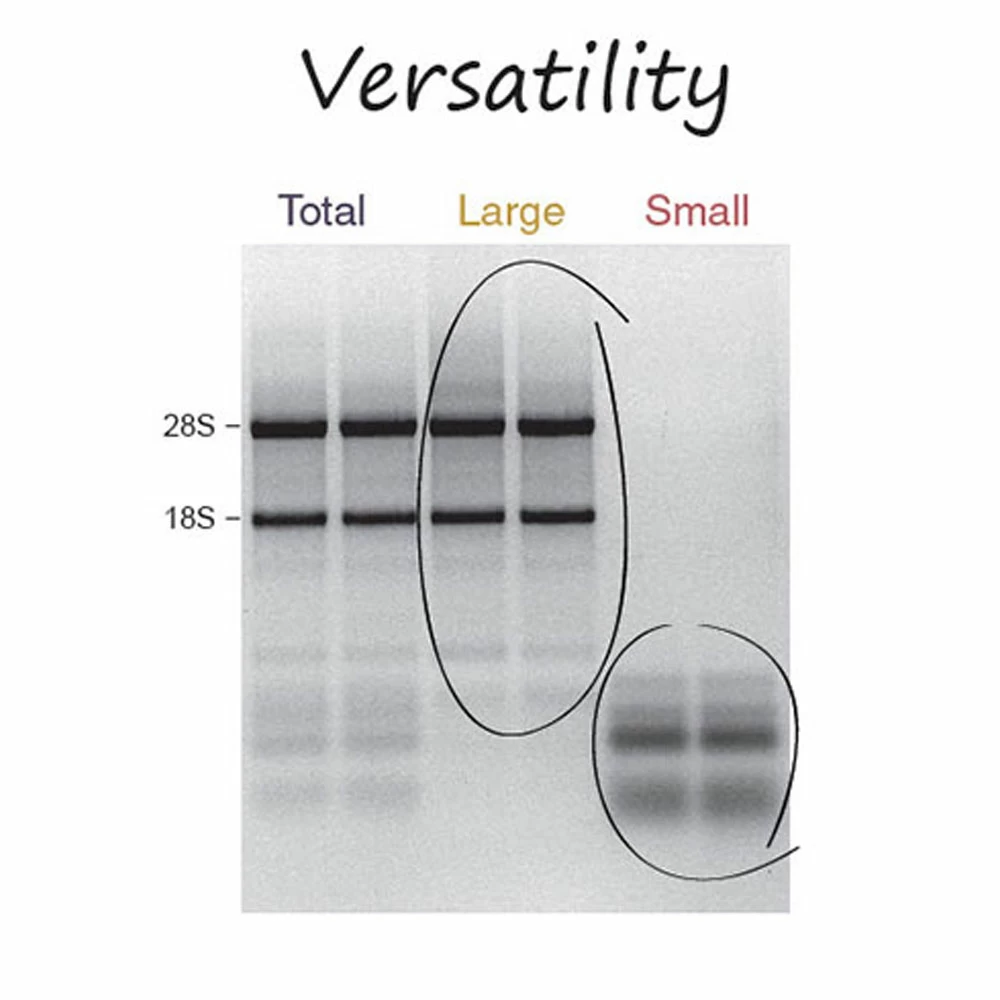 Zymo Research R1057T Quick-RNA MiniPrep Plus, Capped Columns, 10 Preps/Unit tertiary image