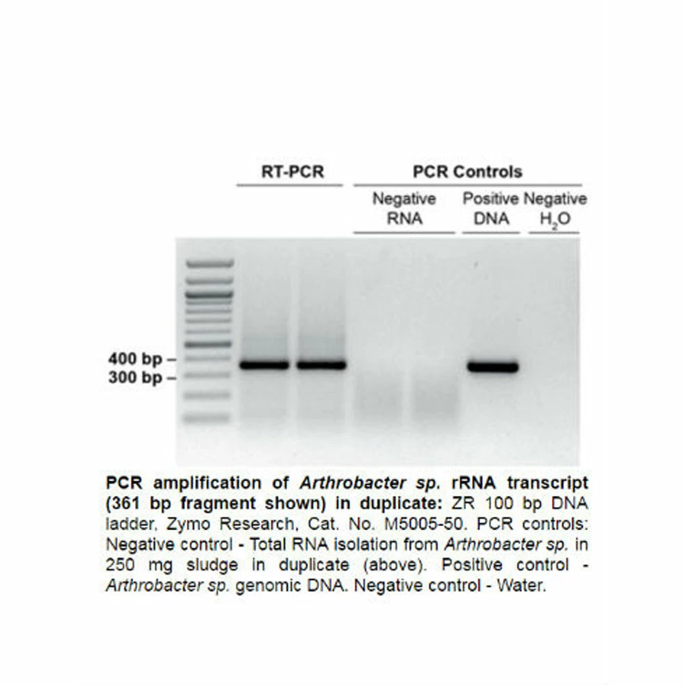 Zymo Research R2040 Quick-RNA Fecal/Soil Microbe Microprep Kit, Zymo Research, 50 Preps/Unit quinary image