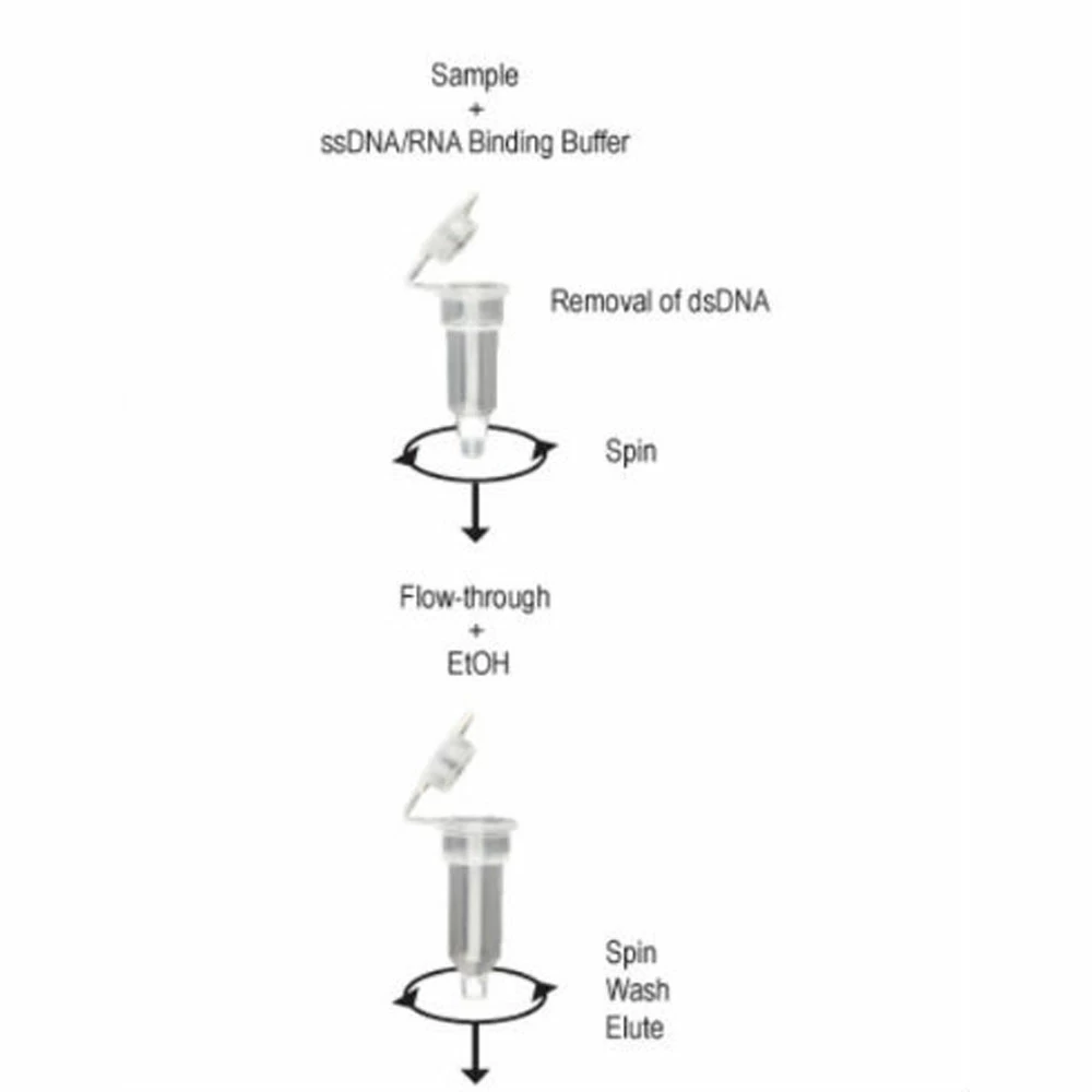 Zymo Research D7011 ssDNA/RNA Clean & Concentrator Kit, Zymo Research, 50 Preps/Unit secondary image