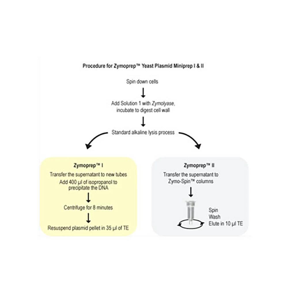 Zymo Research D2004 Yeast Plasmid Miniprep II, Zymoprep, 50 Preps/Unit secondary image