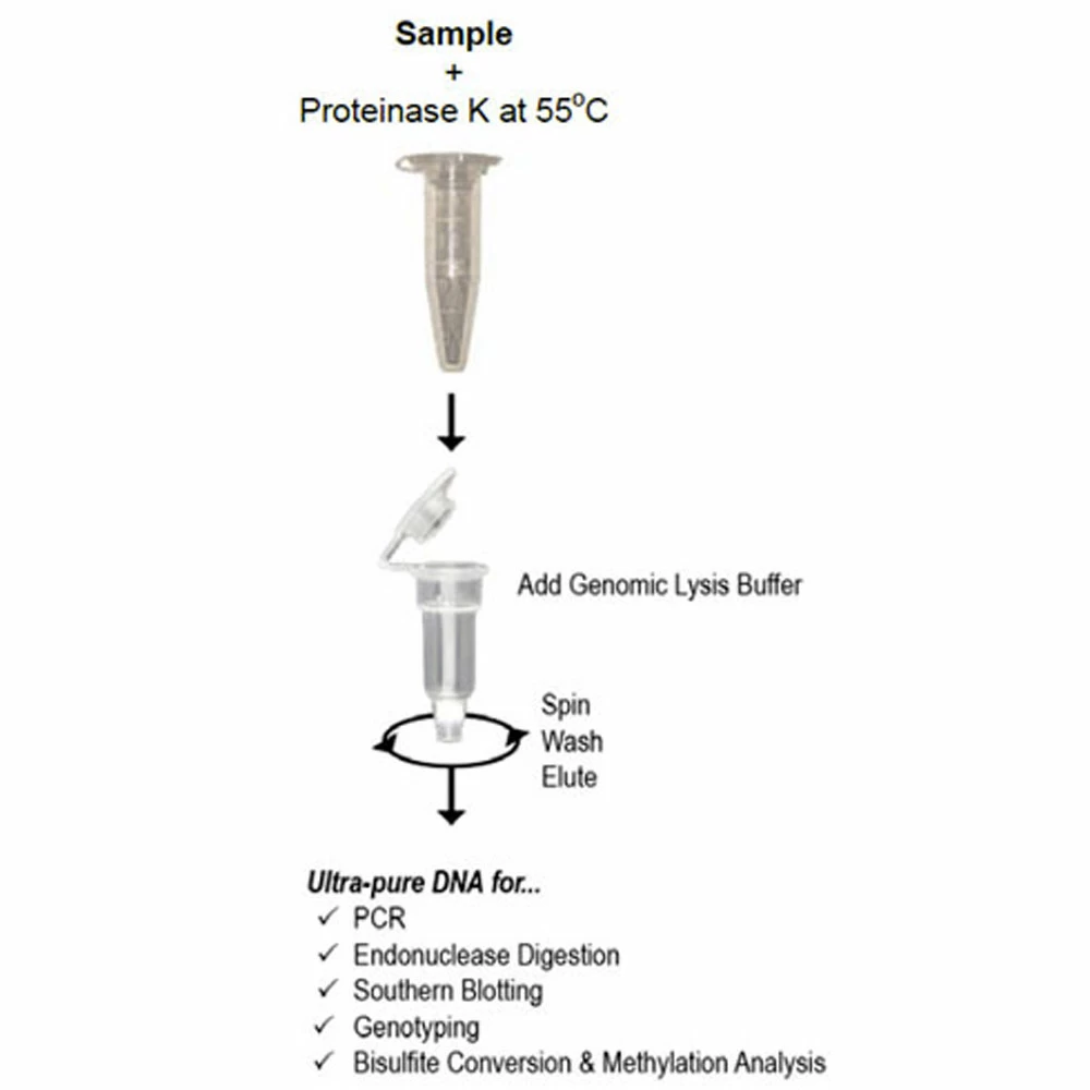 Zymo Research D4074 Quick-DNA