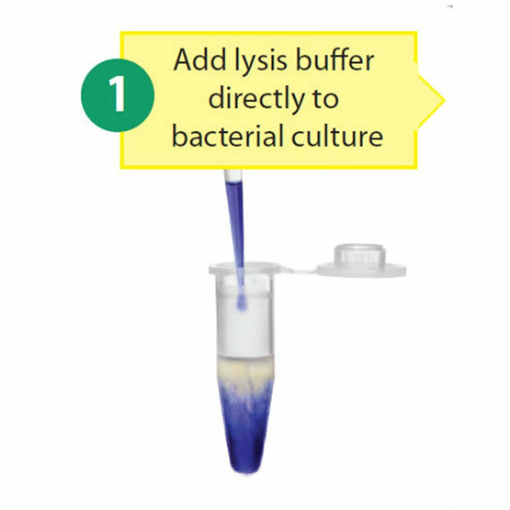 Zymo Research D4037 Zyppy Plasmid Miniprep Kit, Zymo Research, 800 Preps/Unit secondary image