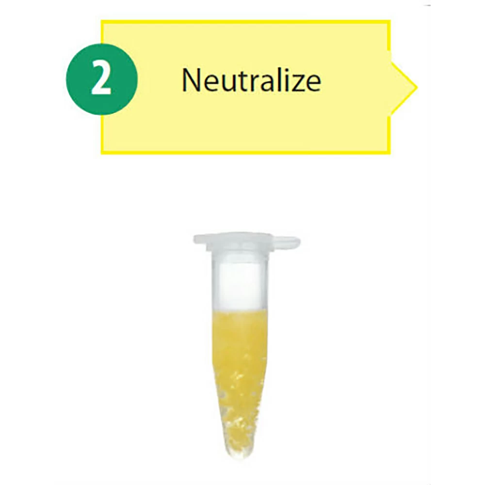 Zymo Research D4037 Zyppy Plasmid Miniprep Kit, Zymo Research, 800 Preps/Unit tertiary image