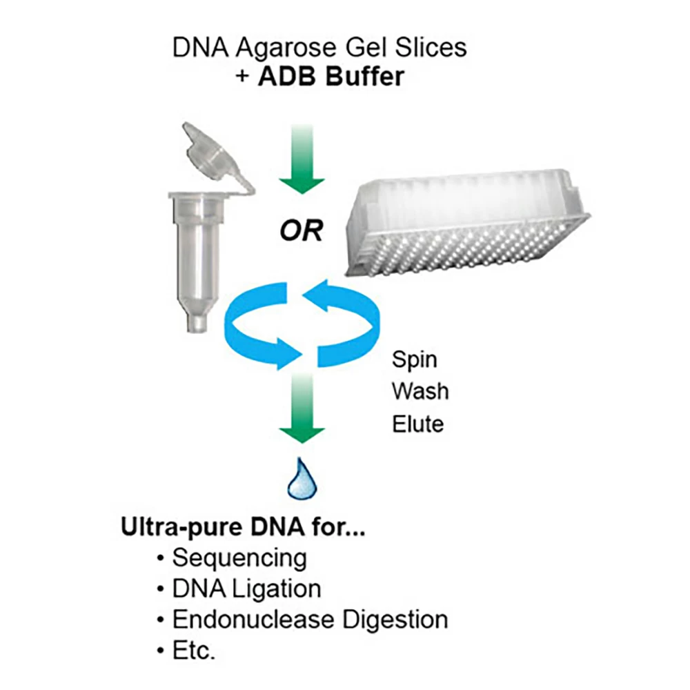 Zymo Research D4022 ZR-96 Zymoclean Gel DNA Recovery Kit, Zymo Research, 4 x 96 Preps/Unit secondary image