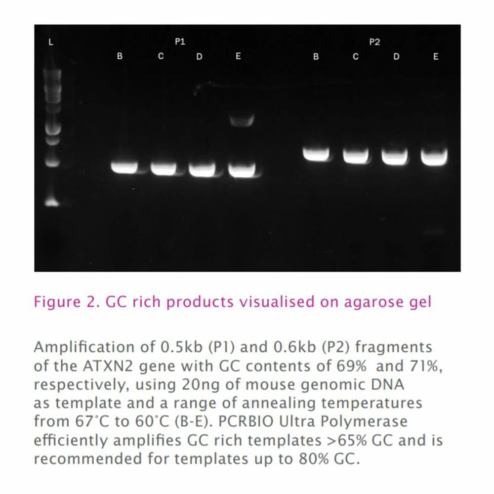 PCR Biosystems PB10.31-10 PCRBIO Ultra Polymerase, 1 Polymerase & 2 x 1ml Buffer, 250U/Unit tertiary image