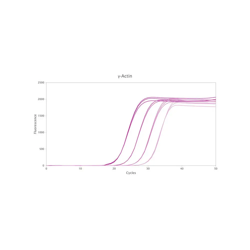 PCR Biosystems PB20.72-03 Clara