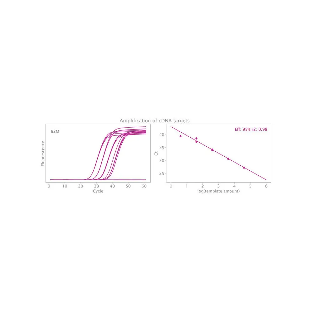 PCR Biosystems PB25.89-50 Clara