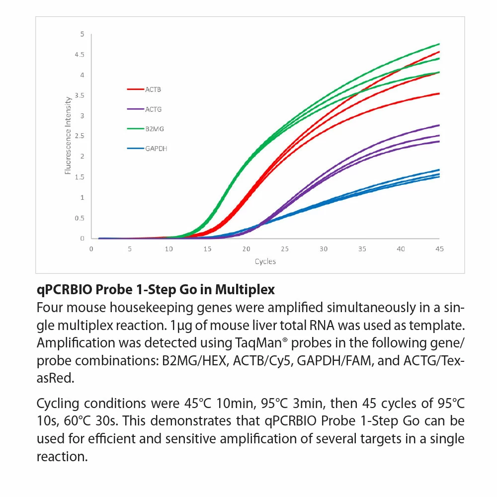 PCR Biosystems PB25.42-05 qPCRBIO Probe 1-Step Go Hi-ROX, 1 x 5ml Mix & 1 x 500ul RTase, 500 x 20ul Rxns/Unit secondary image