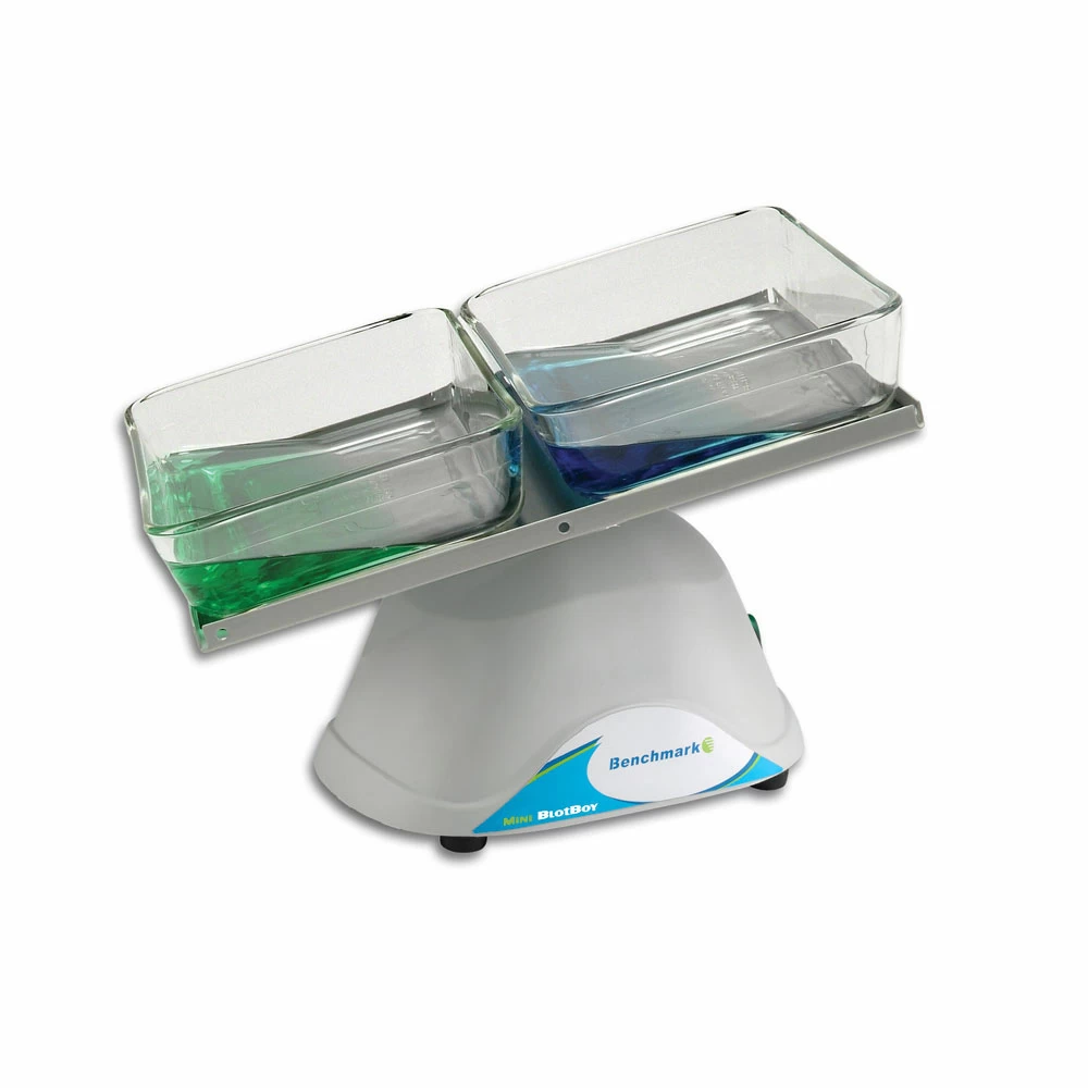 Benchmark Scientific B3D1008 Mini BlotBoy 3D Rocker, 7.5 x 10.5in. Platform, 1 Rocker/Unit primary image