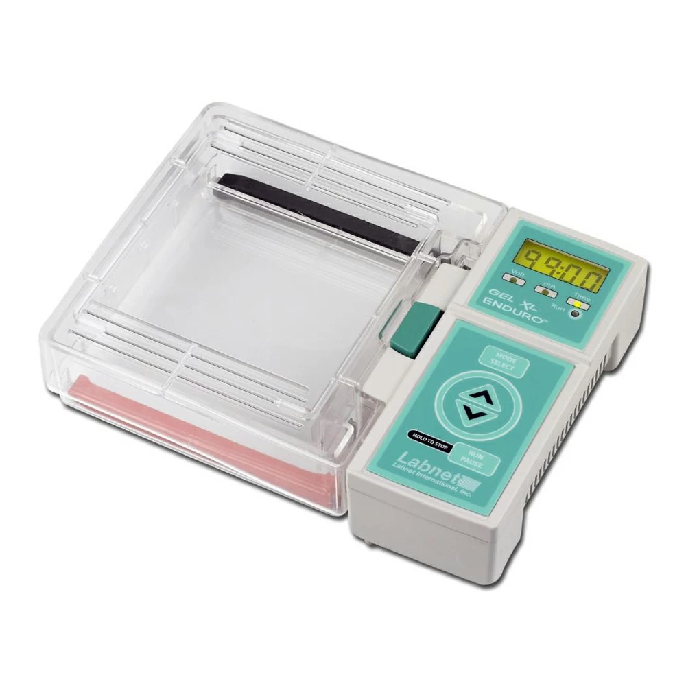 Labnet International E0160 Enduro Gel XL, Electrophoresis System, 1 System/Unit primary image