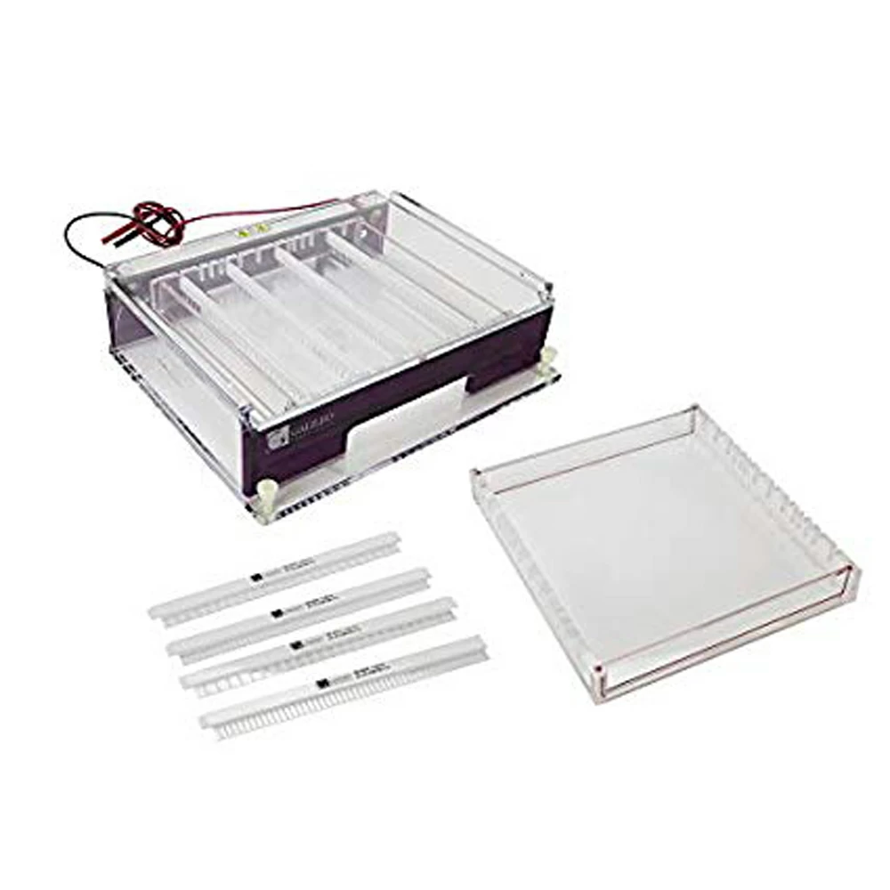 Genesee Scientific 33-624 23 x 25cm Horizontal Gel Box, ExpressCast Complete System, 1 Gel Box/Unit primary image