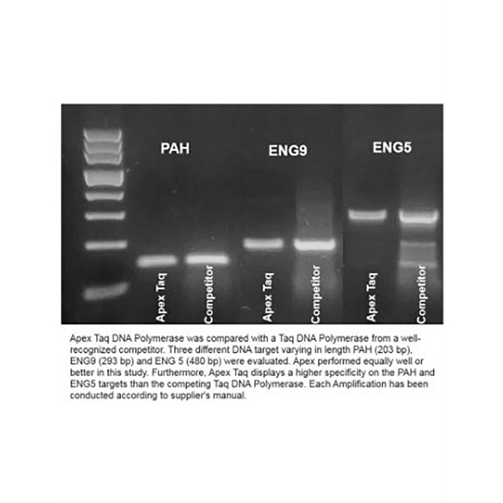 Apex Bioresearch Products 42-802B1 Apex Taq, 5,000Units, 5u/ul, 10X Standard & NH4 Buffers, 10 x 500u/Unit secondary image