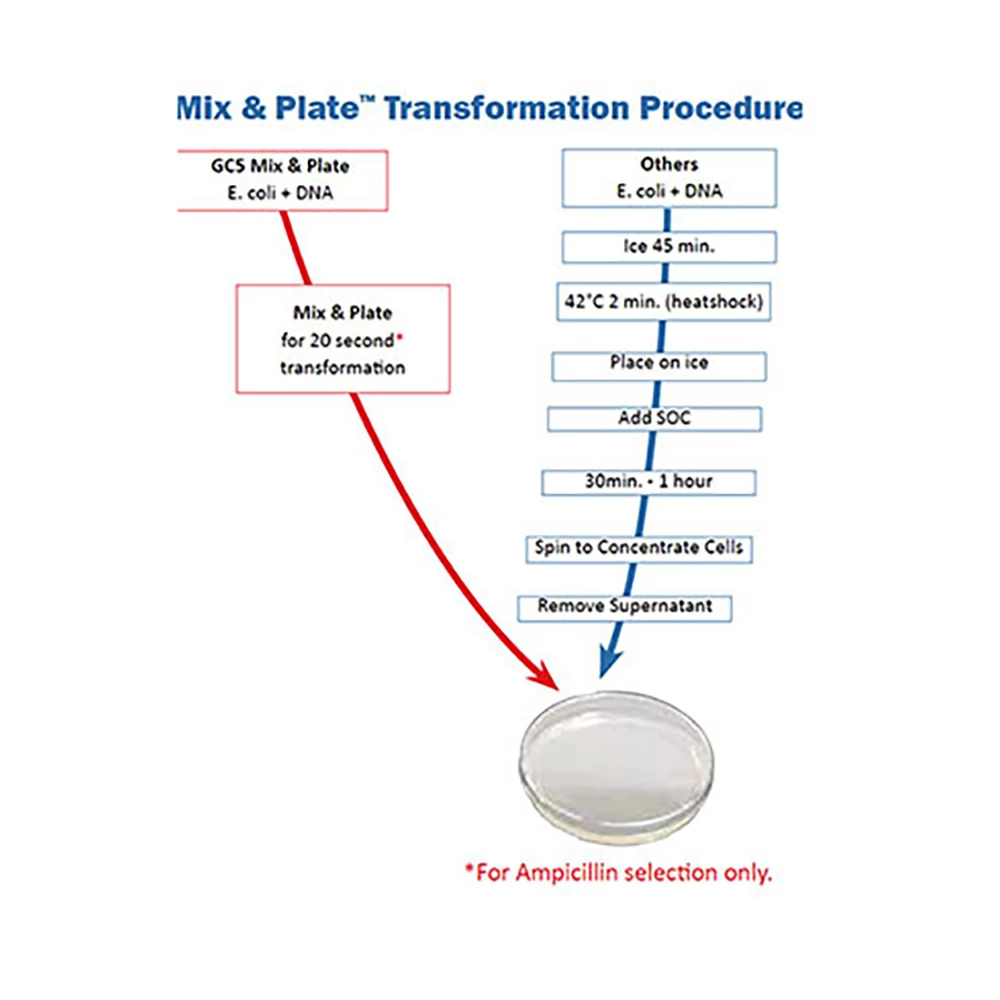 Gene Choice 42-652MG GC5 Mix & Plate Competent Cells, 10^8 - 10^9 transformants/