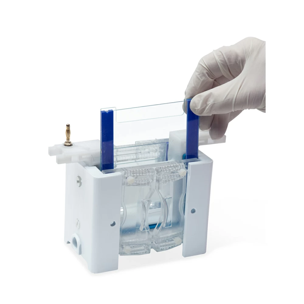 Genesee Scientific 45-108 Mini Vertical Gel Box, 10 x 10cm, 1 Gel Box/Unit tertiary image