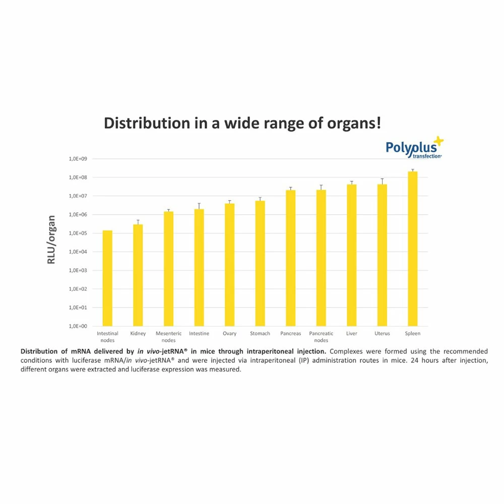 Polyplus-transfection 101000013 in vivo-jetRNA