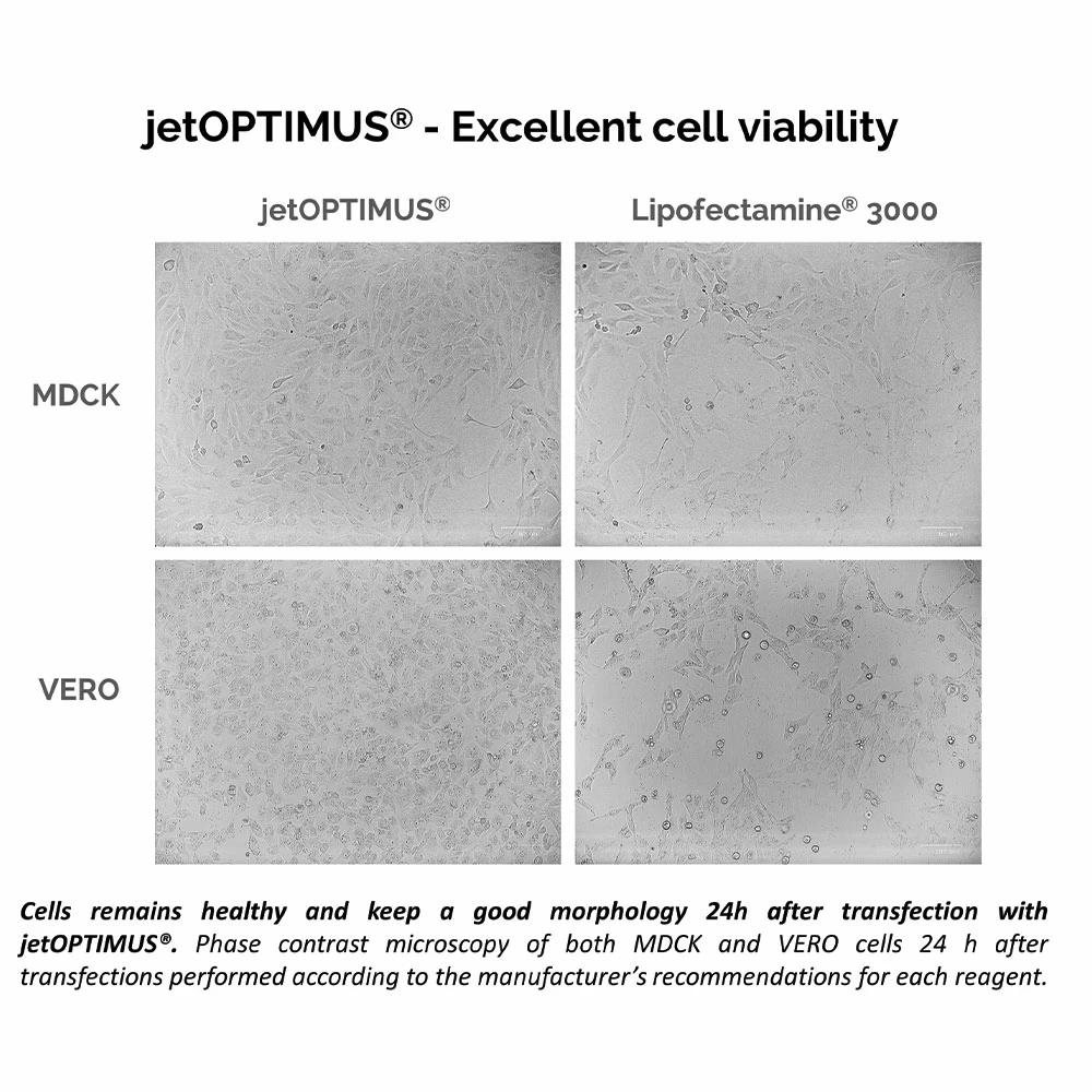 Polyplus-transfection 101000025 jetOPTIMUS