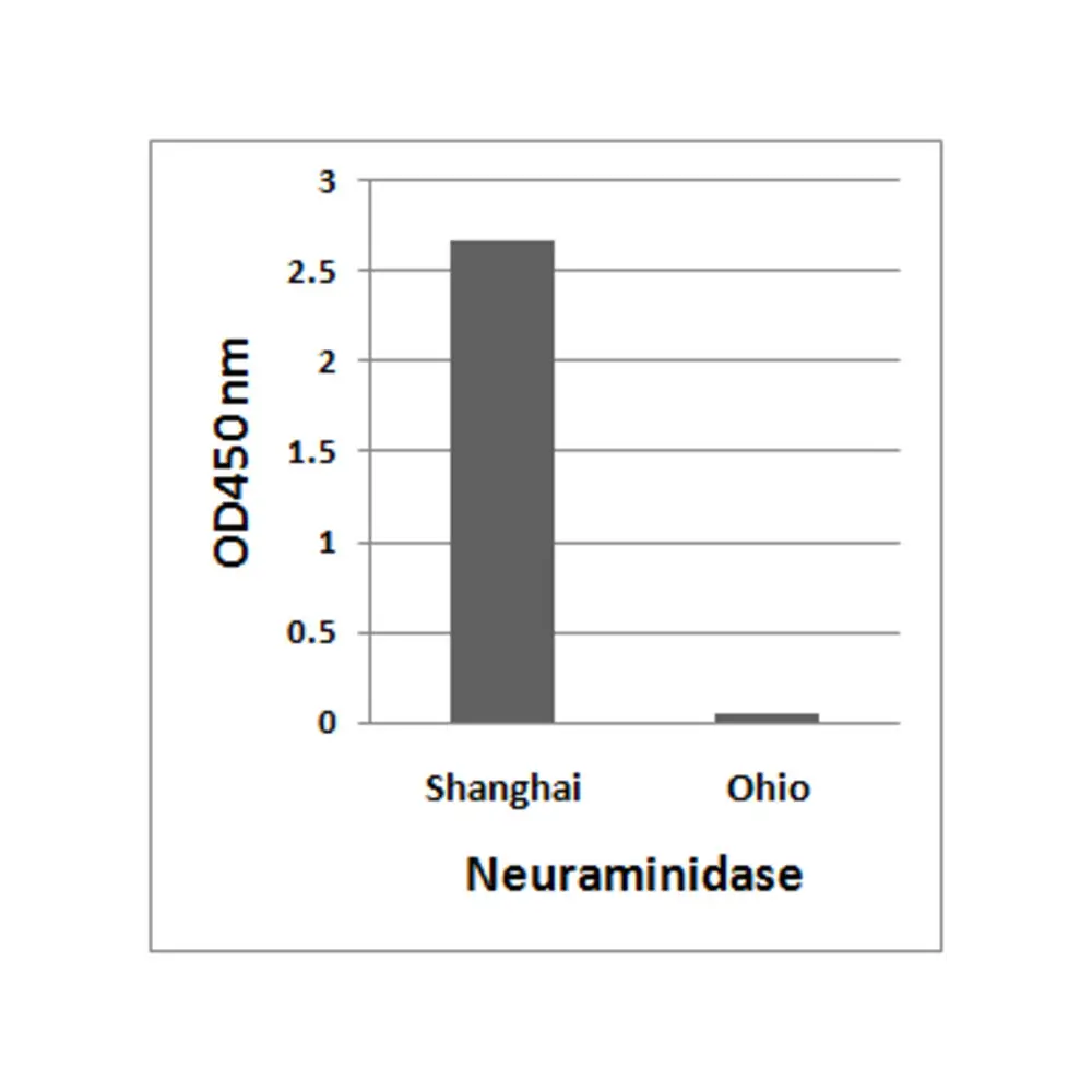 ProSci 7827 Avian Influenza A H7N9 Neuraminidase Antibody, ProSci, 0.1 mg/Unit Primary Image