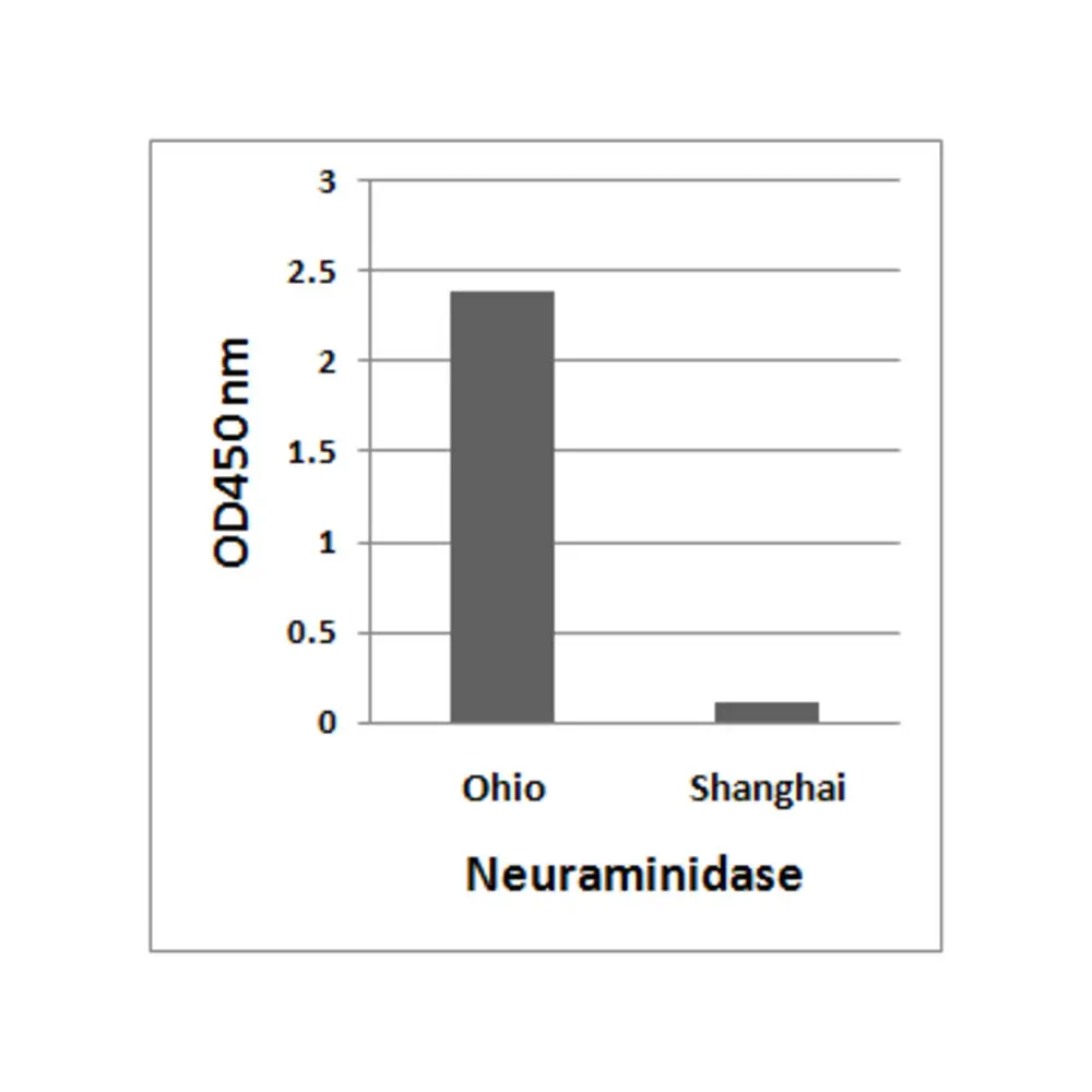 ProSci 7831 Avian Influenza A H7N9 Neuraminidase Antibody, ProSci, 0.1 mg/Unit Primary Image