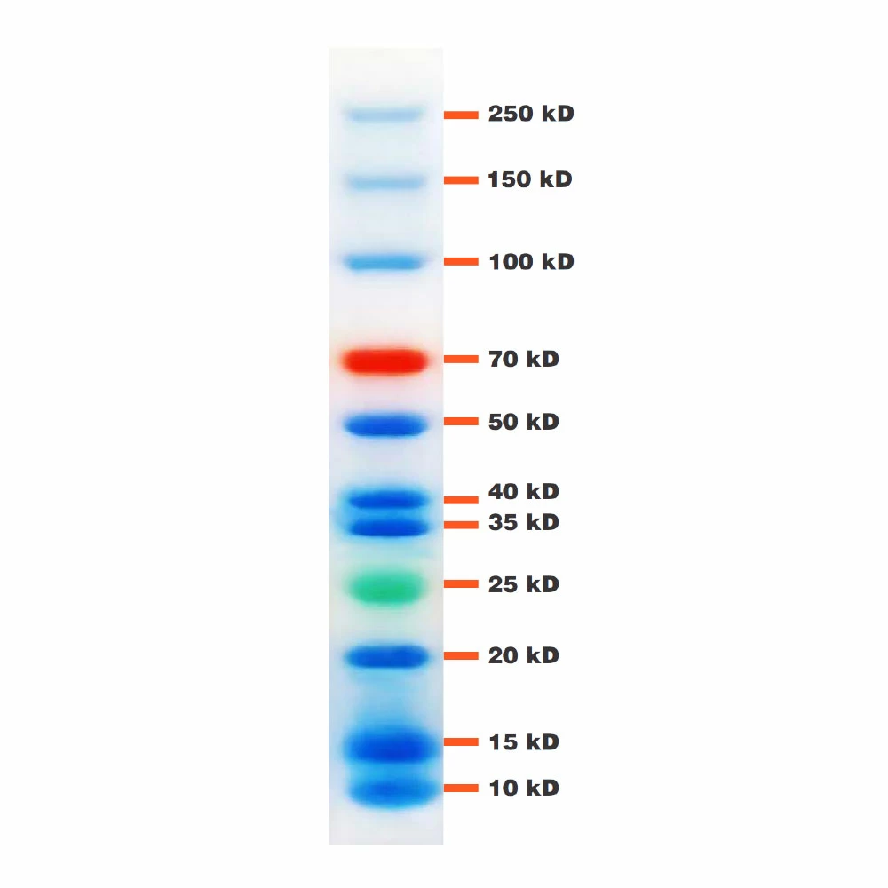 Prometheus Protein Biology Products 83-660 ProSignal