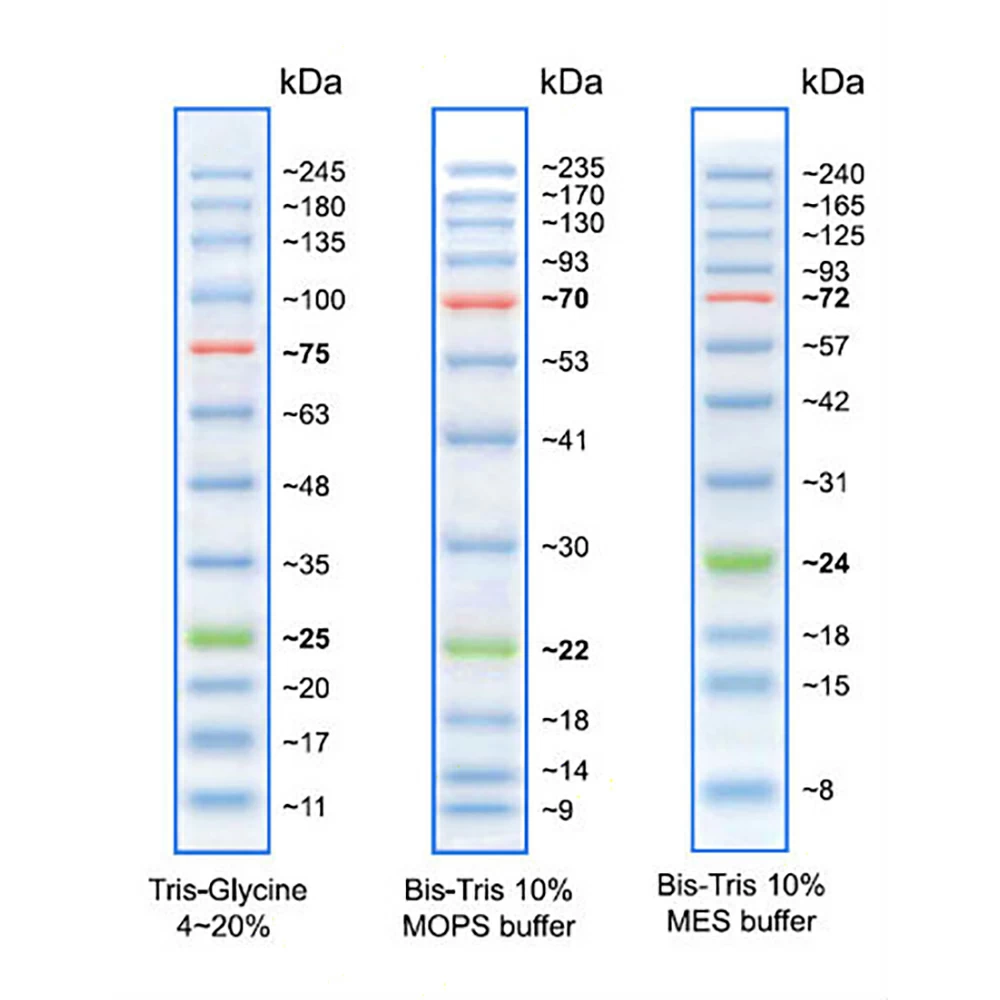 Prometheus Protein Biology Products 83-650 ProSignal