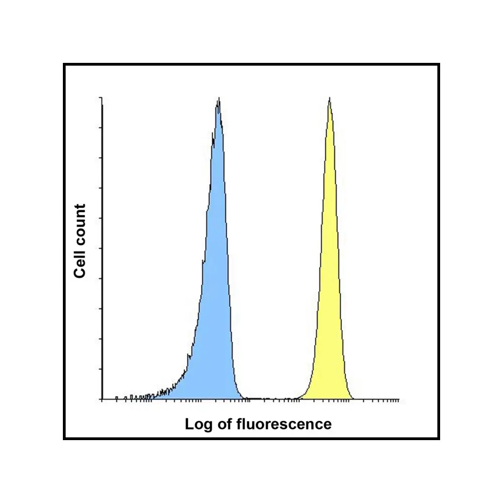 ProSci RF16092_S B7H3 Antibody [2A7], ProSci, 0.02 mg/Unit Senary Image