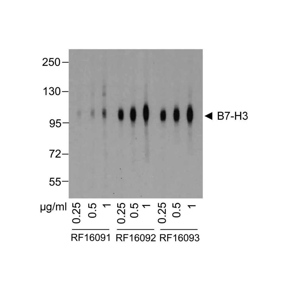 ProSci RF16090 B7-H3 Detection Set (Risk Free), ProSci, 1 Set/Unit Secondary Image