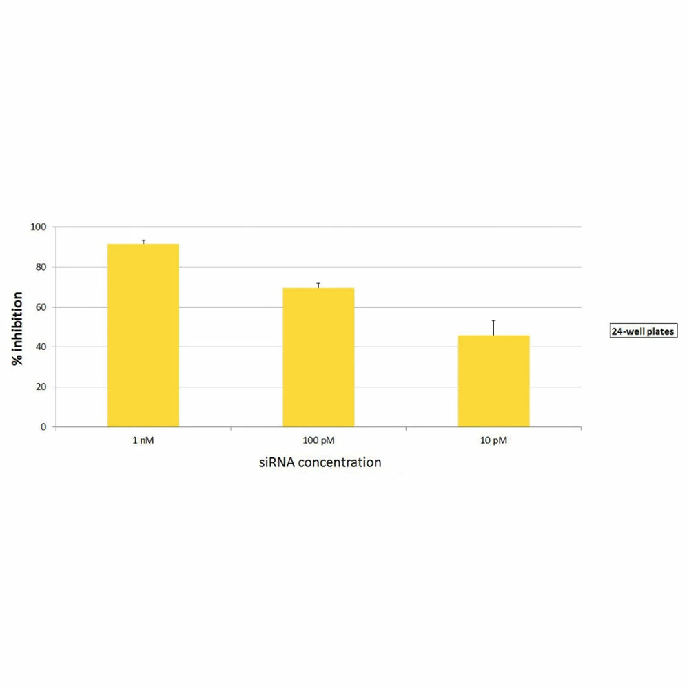 Polyplus-transfection 101000036 INTERFERin