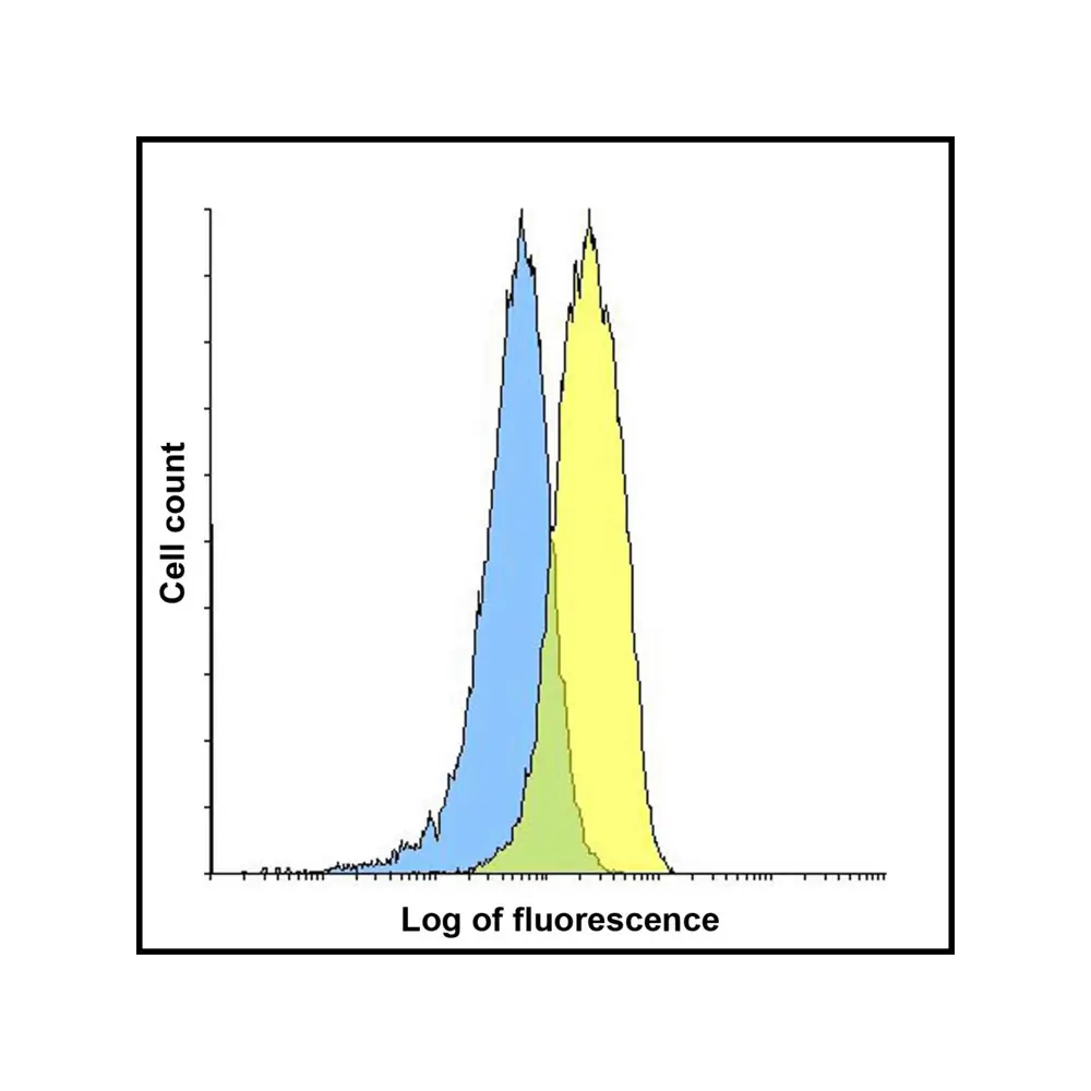 ProSci RF16088_S LAG3 Antibody [5F11], ProSci, 0.02 mg/Unit Senary Image