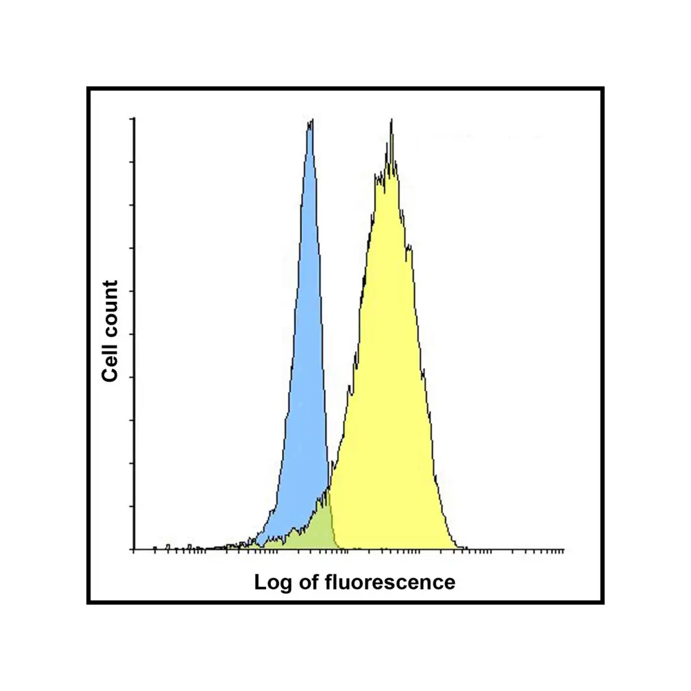 ProSci RF16063 LIGHT Antibody [7B9E12] , ProSci, 0.1 mg/Unit Senary Image