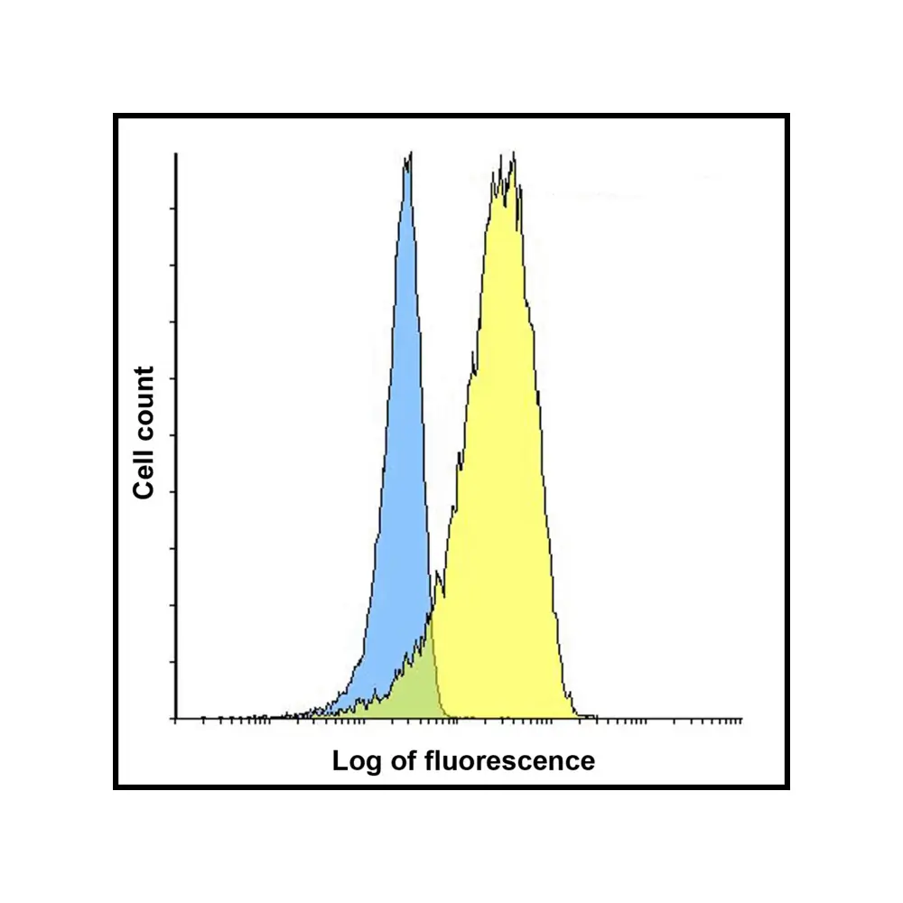 ProSci RF16062 LIGHT Antibody [7B9H9], ProSci, 0.1 mg/Unit Senary Image