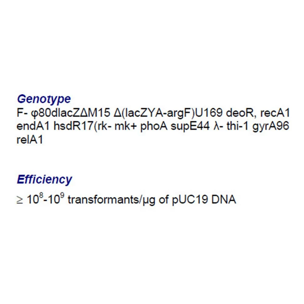 Gene Choice 42-652MG GC5 Mix & Plate Competent Cells, 10^8 - 10^9 transformants/