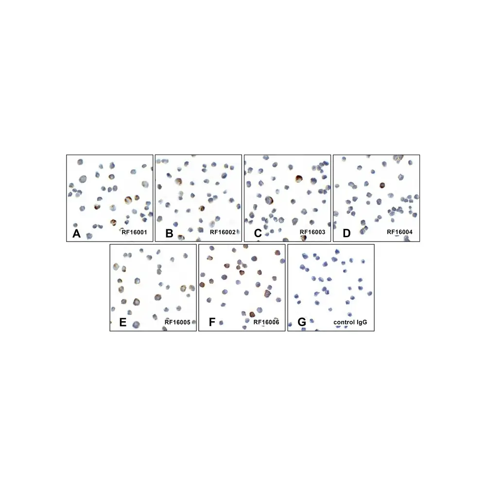 ProSci RF16000 PD1 Detection Set (Risk Free), ProSci, 1 Set/Unit Tertiary Image